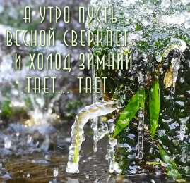 доброе весеннее утро Открытка с добрым весенним утром 