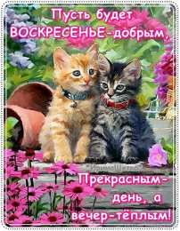 Доброе утро воскресенье Пусть будет воскресенье добрым