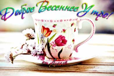 доброе весеннее утро Доброе весеннее утро