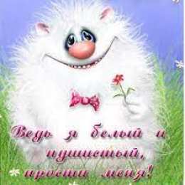 Прости Ведь я белый и пушистый прости меня