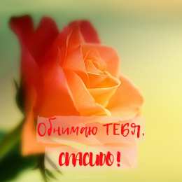 Обнимаю Обнимаю. Открытки