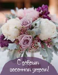 доброе весеннее утро С добрым весенним утром.