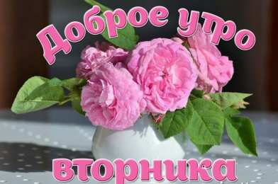 Доброе утро вторник Открытка доброе утро вторник