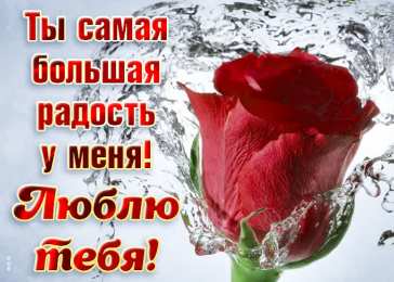 Я тебя люблю ты большая радость. я тебя люблю