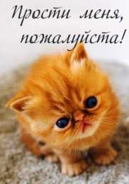 Прости Прости меня пожалуйста