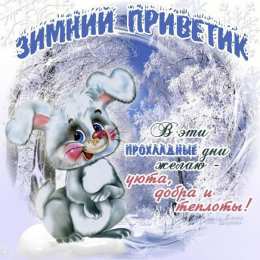 Январский Январский приветик. Открытки зимний приветик с котами, снегом, снеговиком.