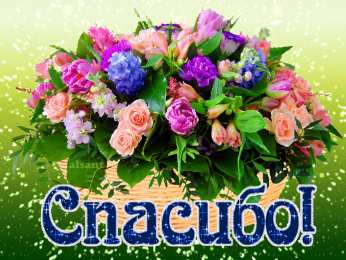 Спасибо Спасибо.