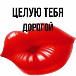 Целую целую тебя дорогой