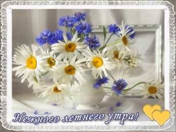 доброе летнее утро самого доброго летнего утра