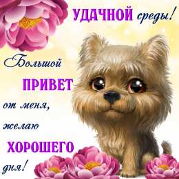 Доброе утро среда Удачной среды. Открытка с собакой и цветами