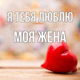 Люблю тебя жена Я тебя люблю жена моя