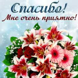 Спасибо Спасибо мне очень приятно