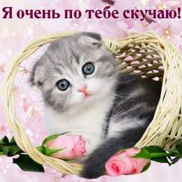 Я скучаю  я по тебе очень скучаю