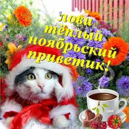 Ноябрьский Картинки ноябрьский приветик