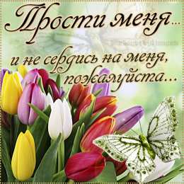 Прости Прости меня