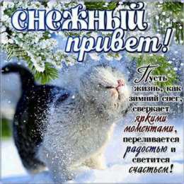 Январский Январский приветик. Открытки зимний приветик с котами, снегом, снеговиком.