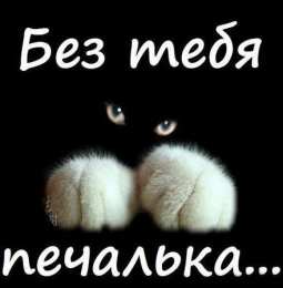 Я скучаю  без тебя печалька