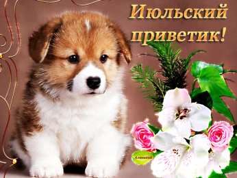 Июльский Июльский приветик. Картинки