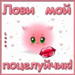 Целую лови мой поцелуй