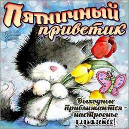 Доброе утро пятница Пятничный приветик. Кот с цветами
