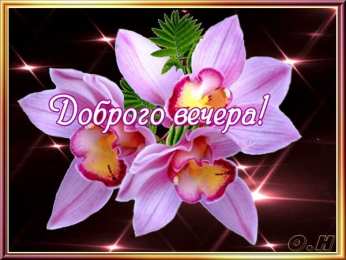 Добрый вечер Хорошего вечера с поздравлениями