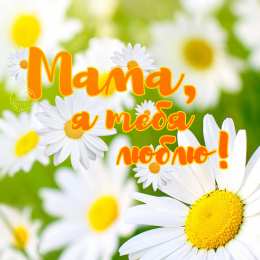 Люблю тебя мама Мама я тебя люблю