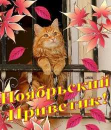 Ноябрьский Картинки ноябрьский приветик с котом