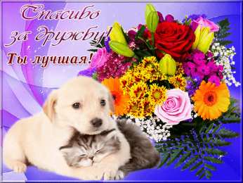 Ты лучшая Ты лучшая 