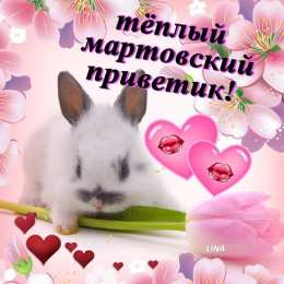 Март Картинки мартовский приветик скачать бесплатно и поделиться в вотсап