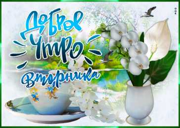 Доброе утро вторник Открытка доброе утро вторник с архидеей