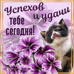 Удачи Картинки желаю удачи скачать бесплатно