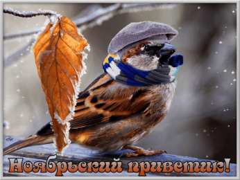 Ноябрьский Картинки ноябрьский приветик анимация