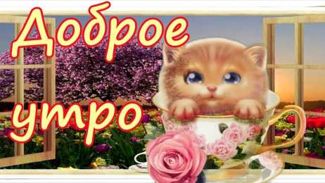 С добрым утром Доброе утречко