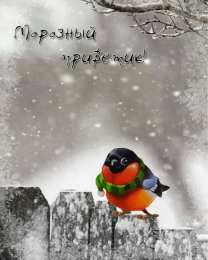 Январский Январский приветик. Открытки зимний приветик с котами, снегом, снеговиком.