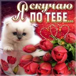  Открытки на тему я скучаю