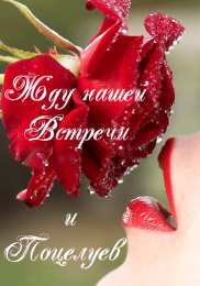 жду нашей встречи