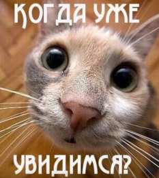  Давай встретимся