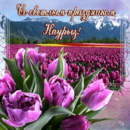  Открытки на наурыз