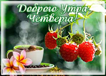  Открытка доброе утро четверг