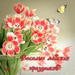 Майский  приветик с нежными цветами и бабочкой 