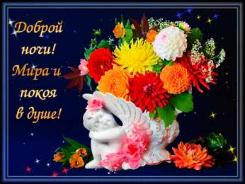 Спокойной ночи