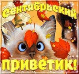 Сентябрьский приветик