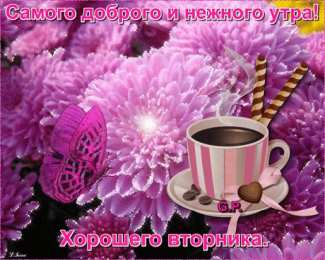 Хорошего вторника. Самого доброго и нежного утра