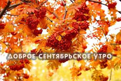 Доброе сентябрьское утро