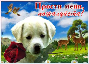 Прости меня пожалуйста