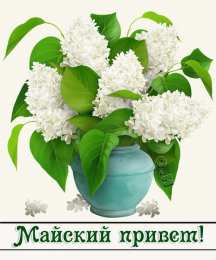 Майский  приветик белая сирень в вазе