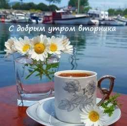 Доброе утро вторник с ромашками