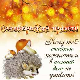 Сентябрьский приветик